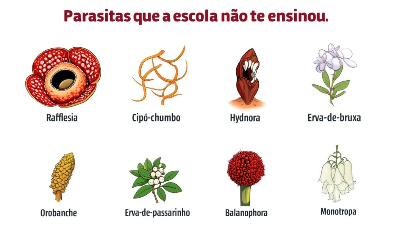 Conheça as Plantas Parasitas Mais Perigosas do Mundo em Menos de 9 Minutos.😱🌿