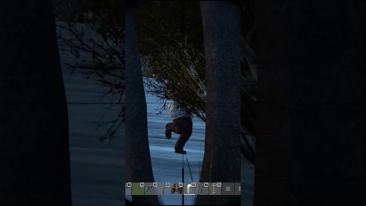 DayZ Тихий убивиц   #dayz #dayzgamer #pvp #action
