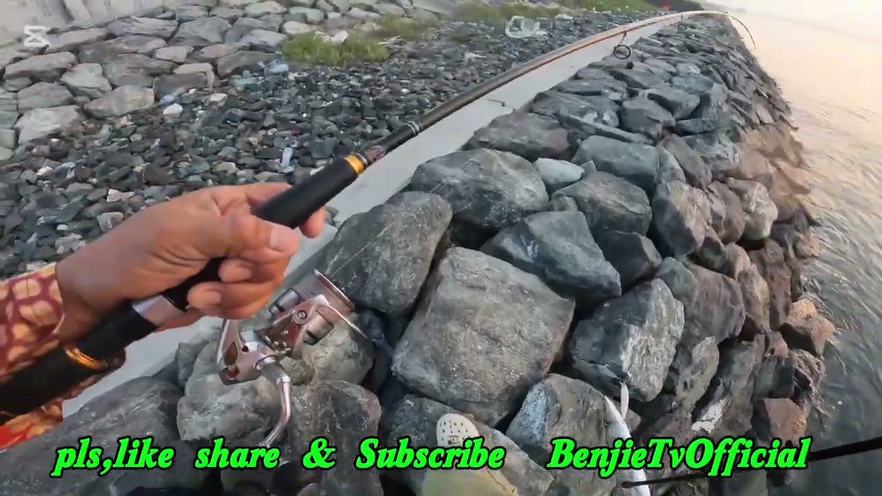 The best fishing spot in ajman fishing adventure  fishing is life
