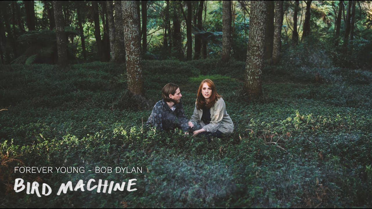 Bird Machine - Forever Young by Bob Dylan [Cover]