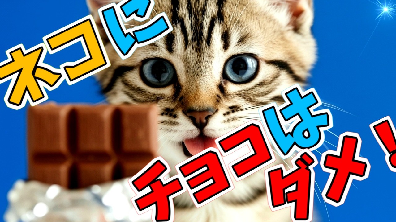 【AIドラマ フル】子猫や子犬も食べられるバレンタインデーのお菓子をエルちゃんが作ったわ！果たして、うまくいったの？