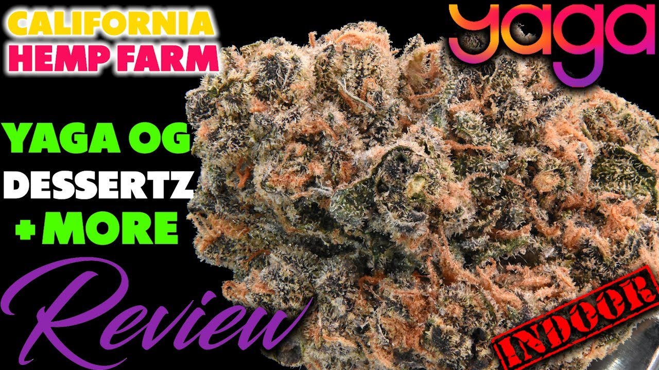 Yaga OG &mdash; уникальный сорт калифорнийской конопли от Yaga Farms и многое другое | Обзор цветков ко...