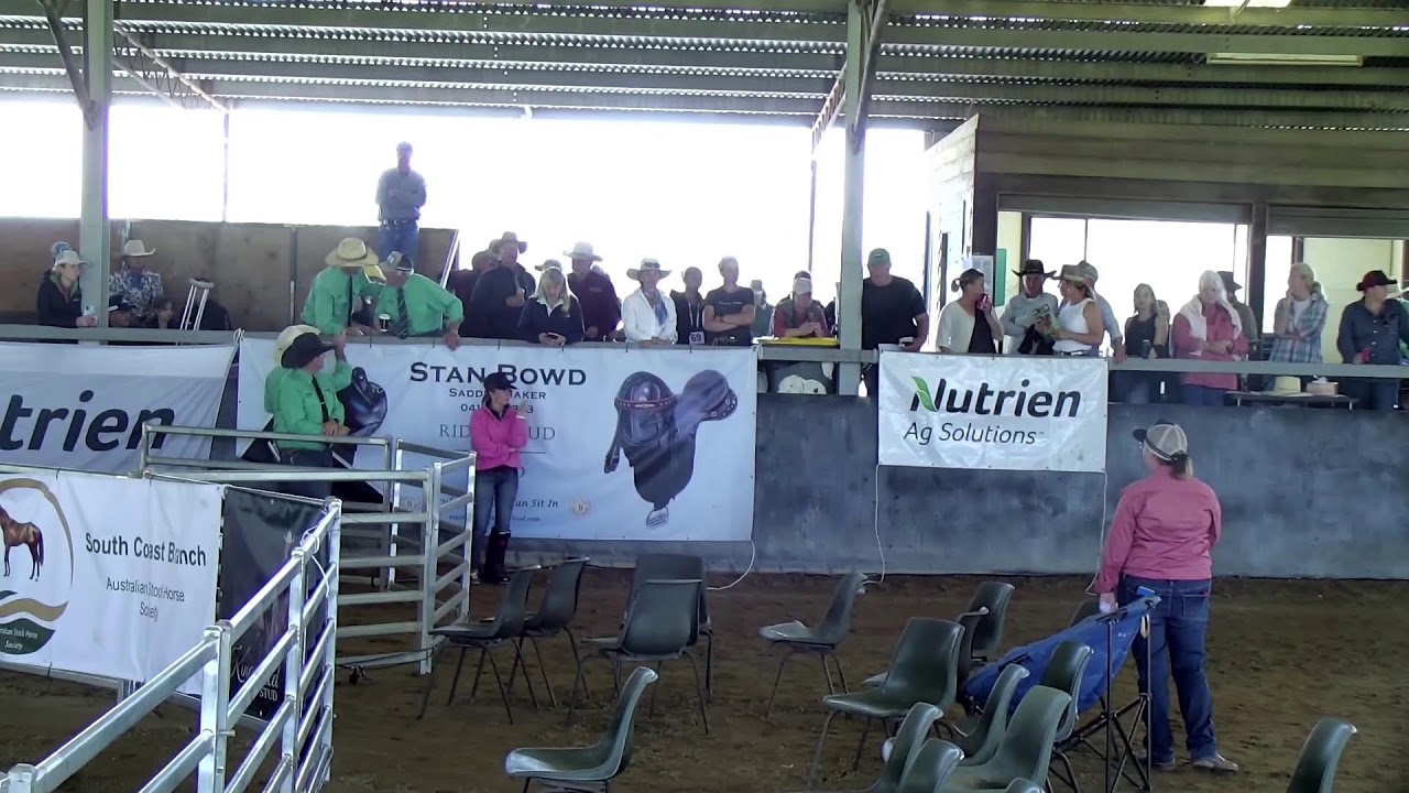LIVE — The Great Southern Yearling Sale 2025.