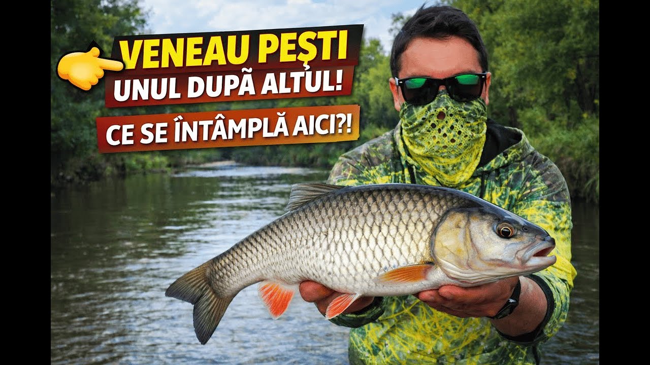 Nu făceam nimic special… și veneau pești unul după altul?