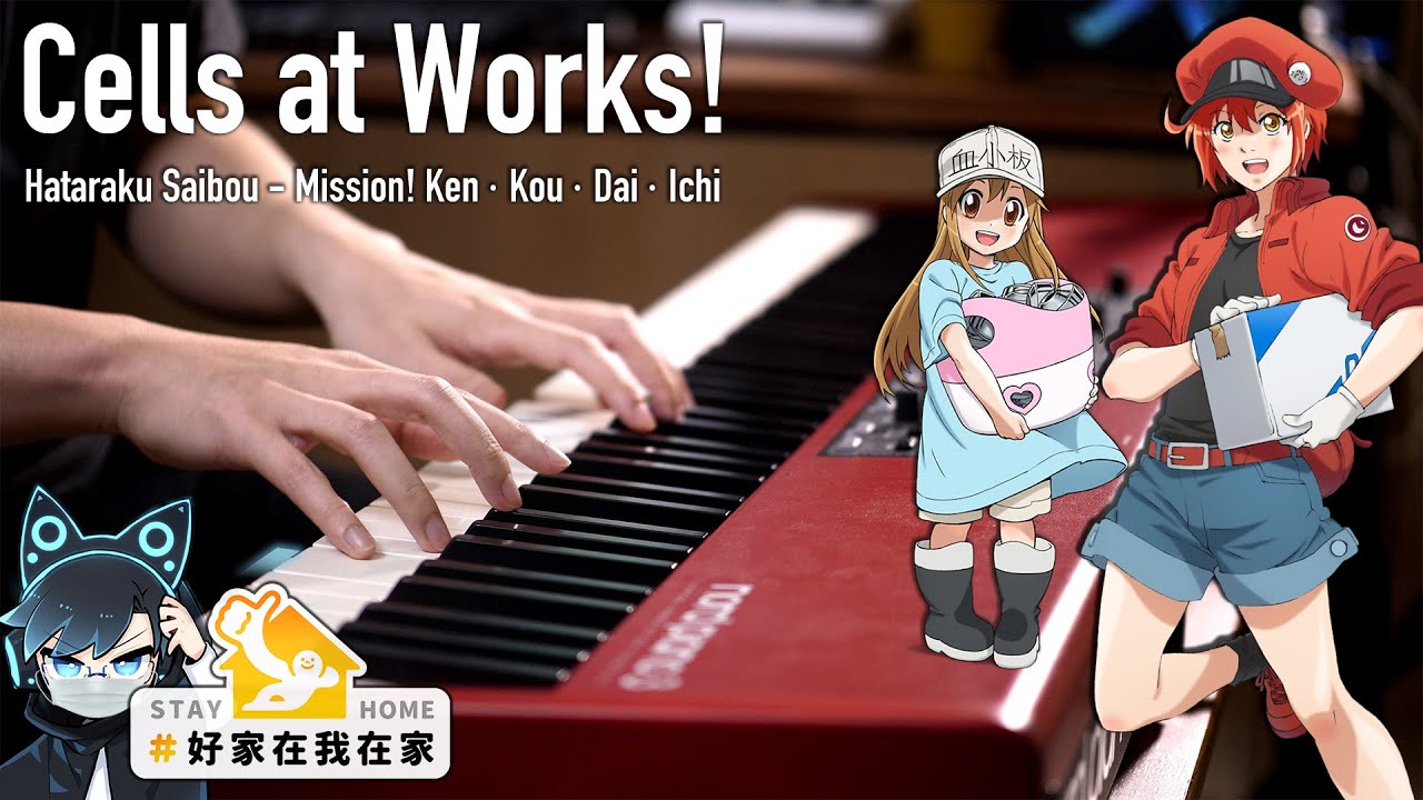 Hataraku Saibou Opening (Cells at Works!) Piano Cover｜SLSMusic