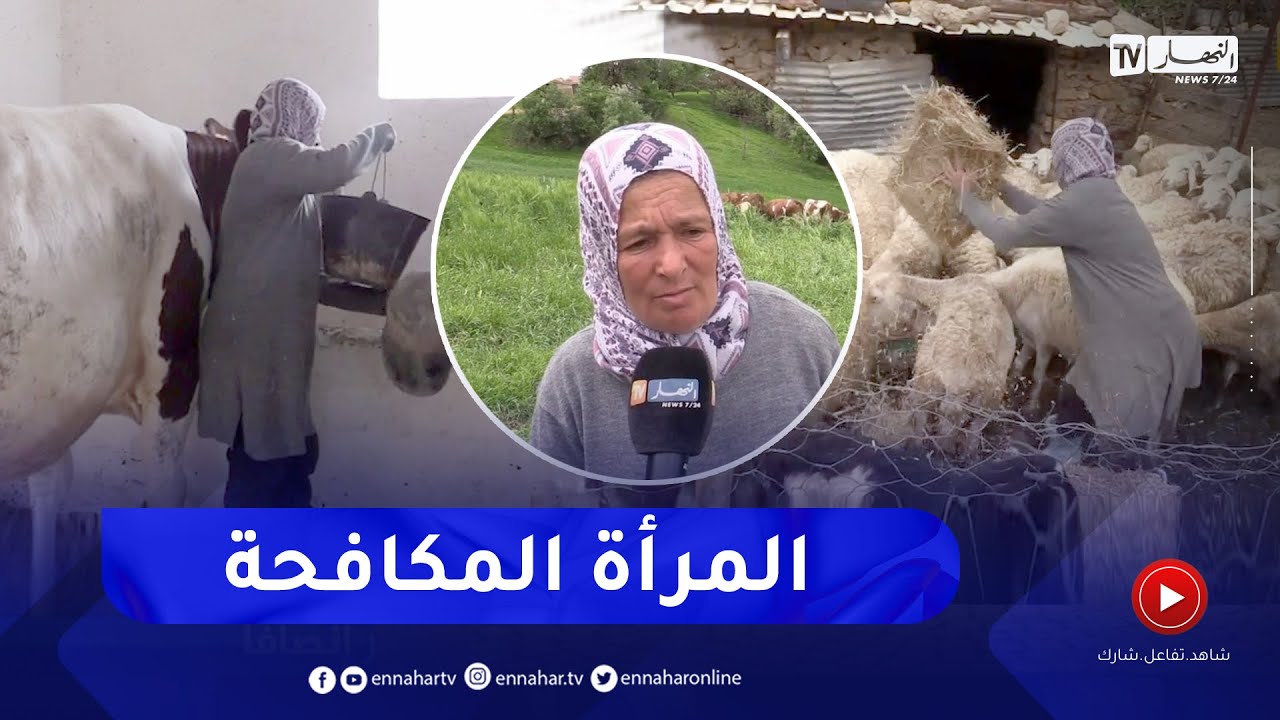 سوق أهراس :  أسيا .. مثال المرأة المزارعة المثابرة لأزيد من 10 سنوات