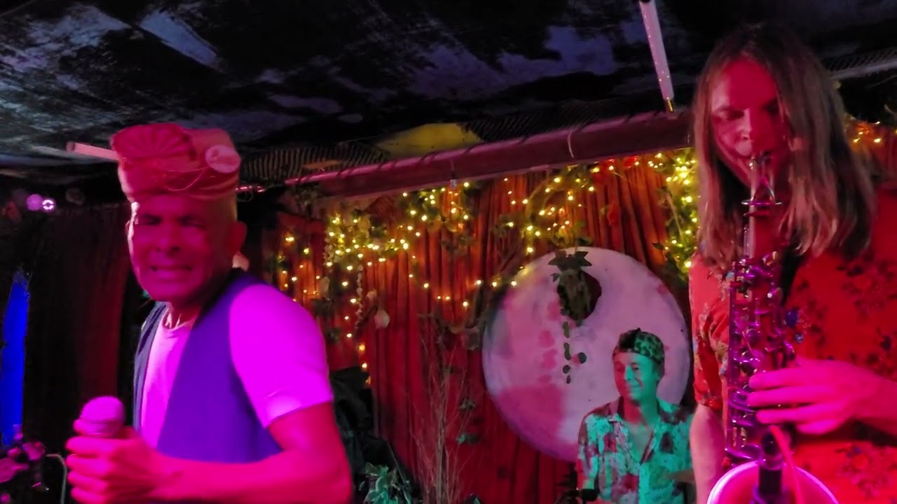 King Salami And The Cumberland Three  - Georgia Slop / Do The Wurst 
