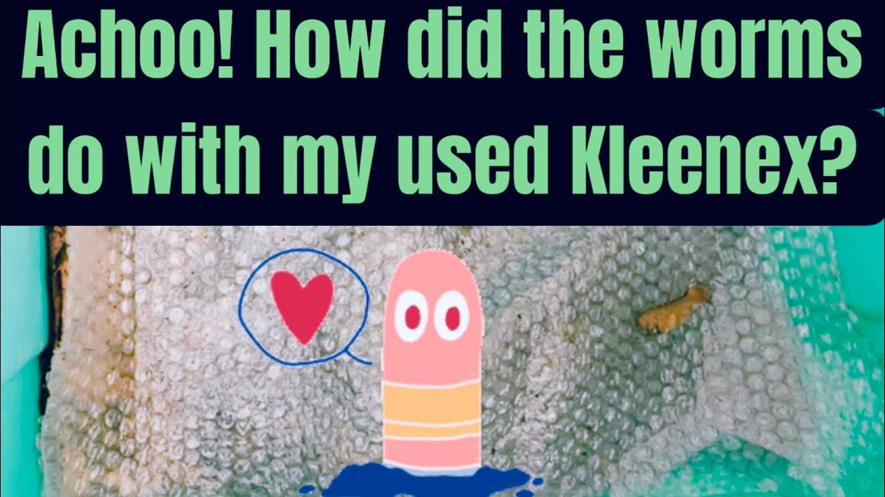 Апчхи! Ну и как мои глисты отреагировали на использованные салфетки Kleenex?