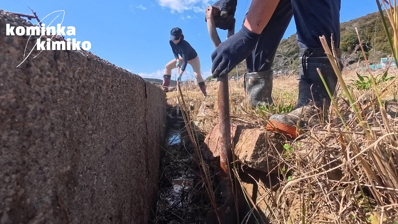 【古民家に住もう#321】春は畑❢土手の雑木伐採＆溝さらい50メートル