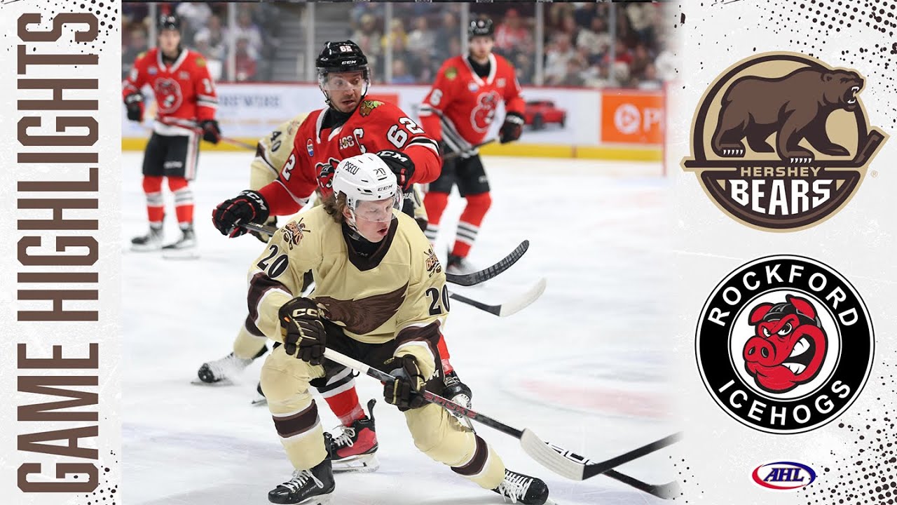 Hershey Bears vs. Rockford, 01/03/26 | Game Highlights