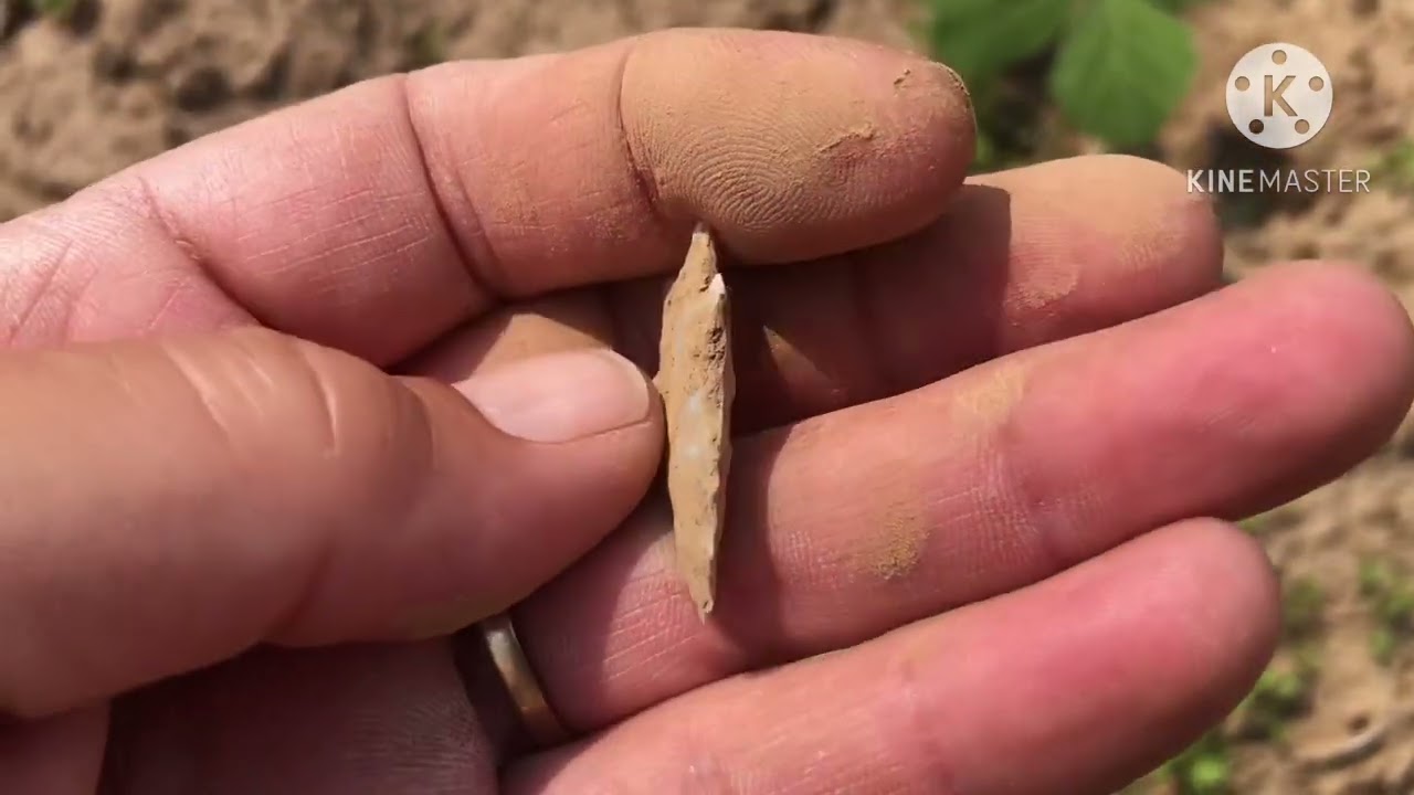 Ohio arrowhead/Native American artifact hunts…May/June ‘25…