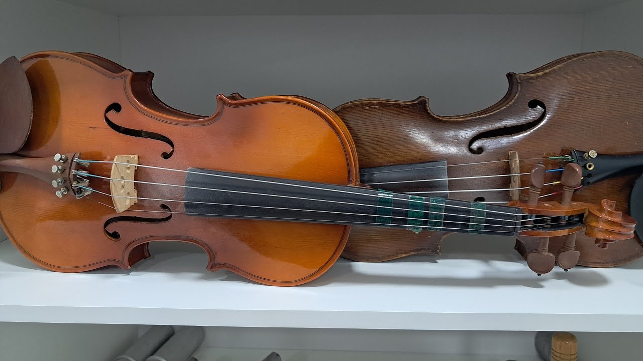 Aula de violino ao vivo Iniciantes, Clube do Violino - Como tocar violino