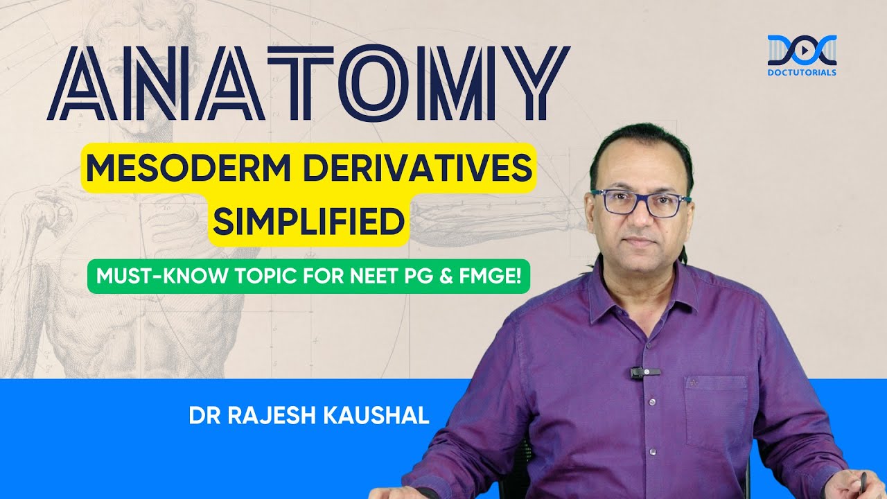 Mesoderm Derivatives | NEET PG Embryology 2025