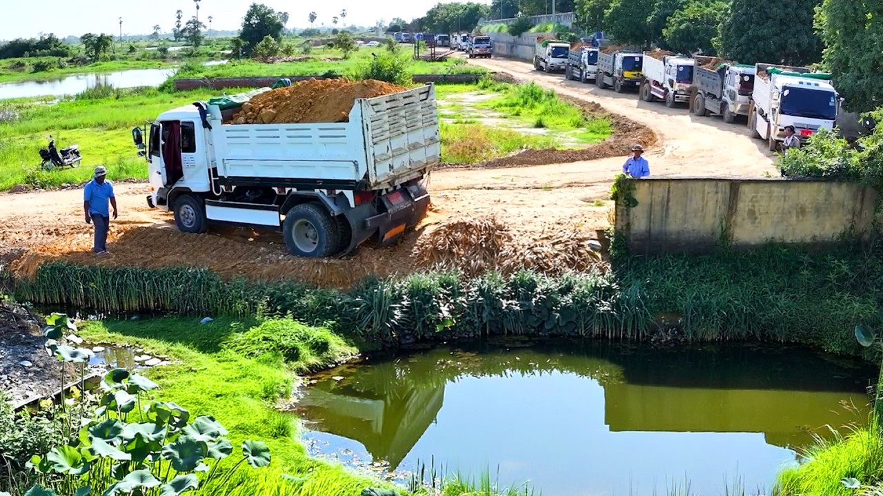 UNBELIEVABLE! Heavy Dozer Pushing Massive Soil & 5-Ton Truck Action! Be Careful!