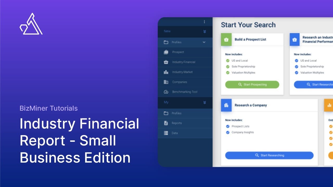 BizMiner Tutorials: Industry Financial Report - Small Business Edition