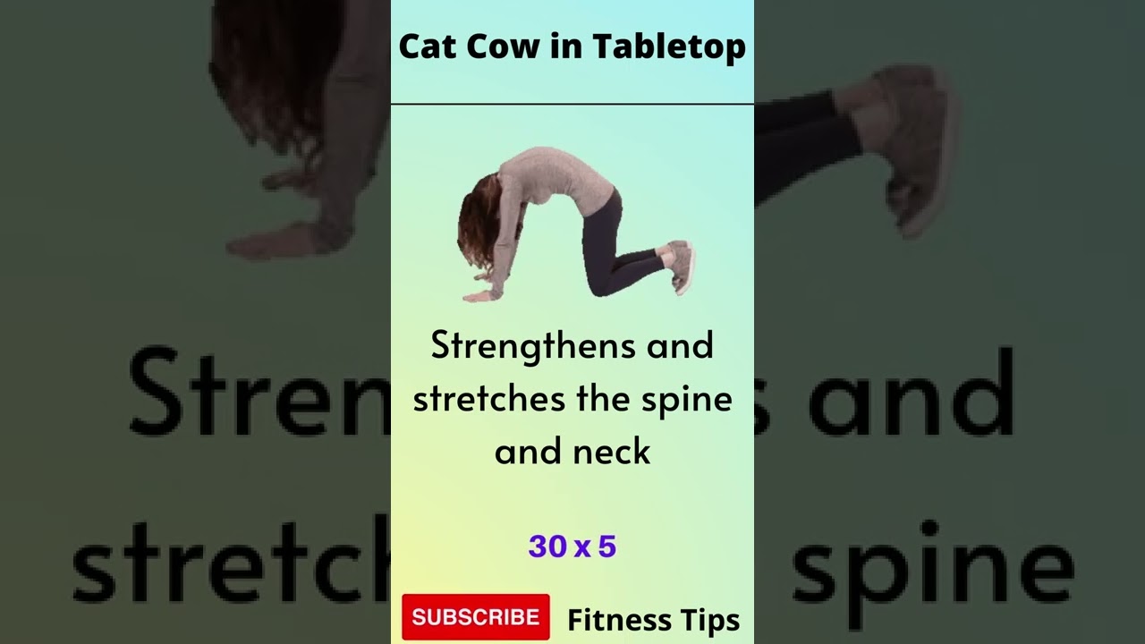 How to Cat Cow in Tabletop | How To Learn Cat Cow In Tabletop Workout | Fitness Tips | 