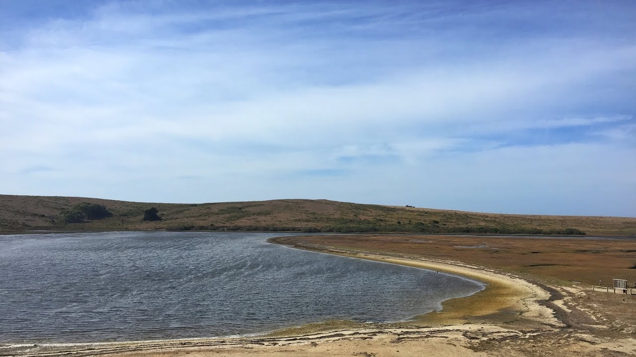 Restoring the Marine Wilderness of Point Reyes National Seashore