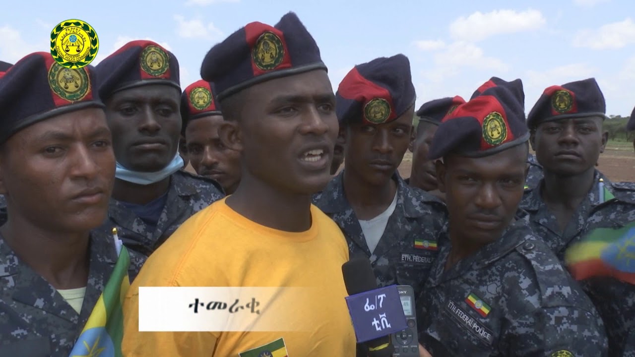 ምልከታ
