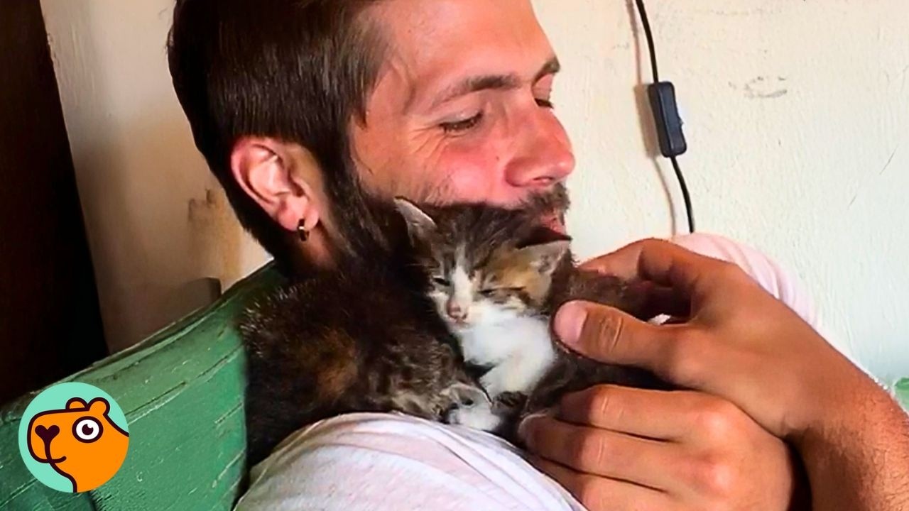 2 Kittens Were Abandoned In Winter, Until This Guy Found Them | Cuddle Buddies