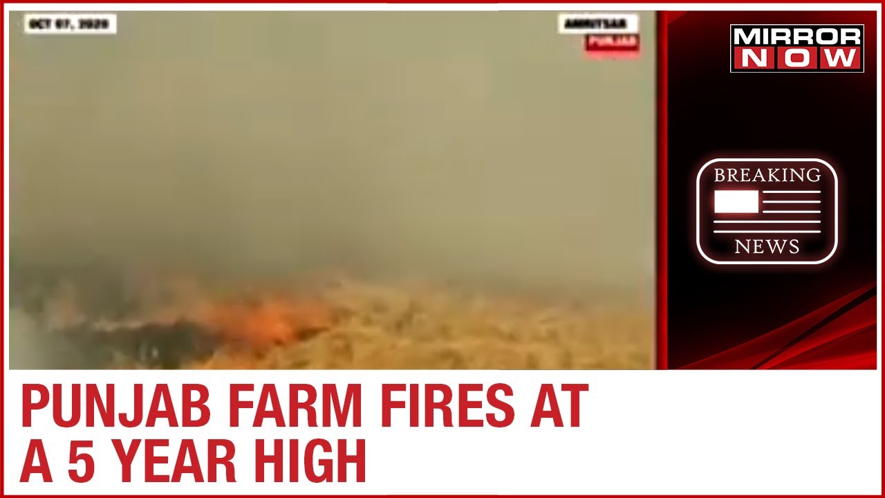 Farm Fires: Punjab farm fires at 5 year high, Delhi's air quality drops