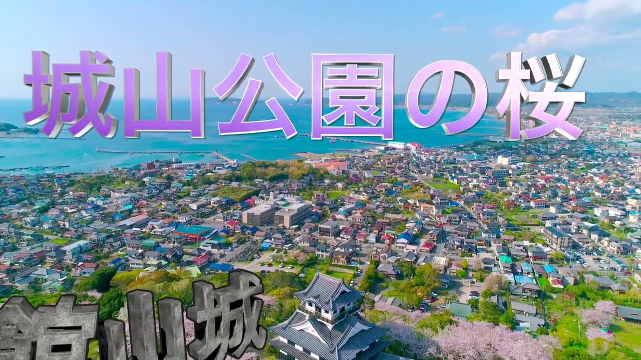 千葉県 館山城・城山公園【絶景の桜と海のコラボ】ドローン男子空撮