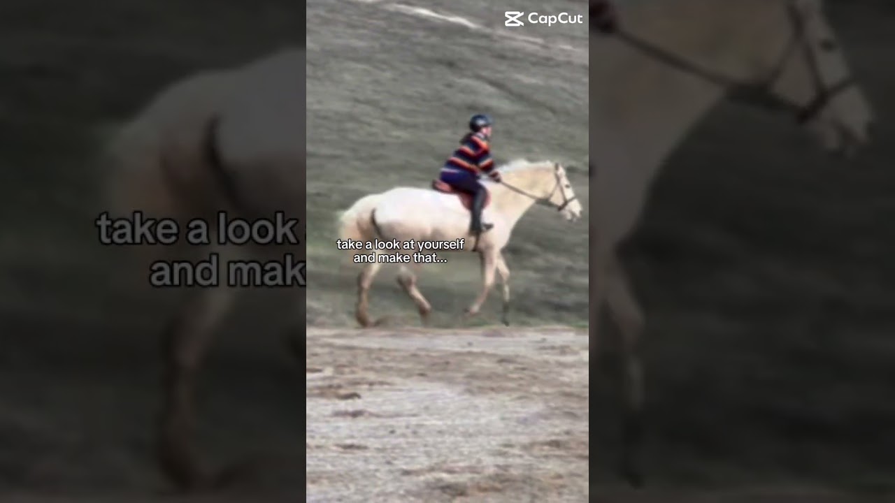 Like two years apart!! #horse #equestrianjourney #equestrianjumping #trending #equestrian #horseride