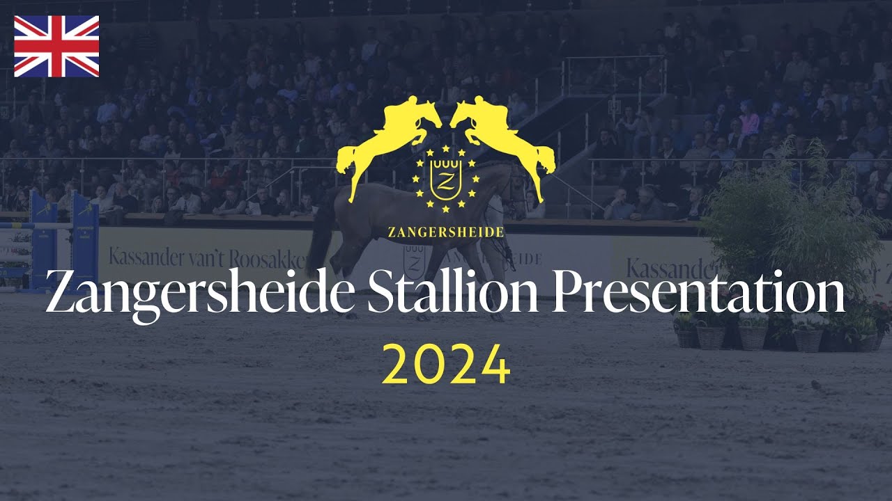 🇬🇧 Studfarm Zangersheide Stallion Presentation