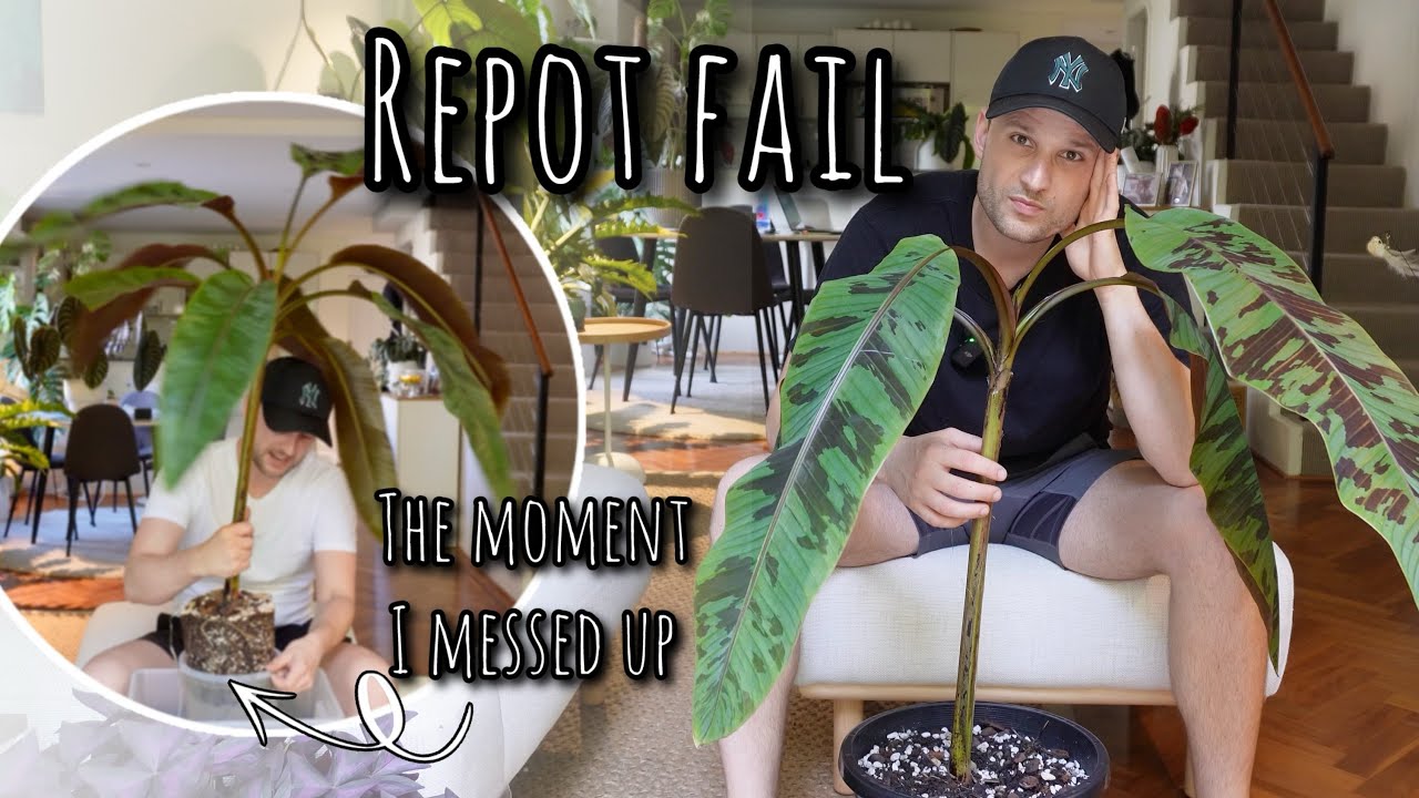 I messed up & it took 12 months to recover