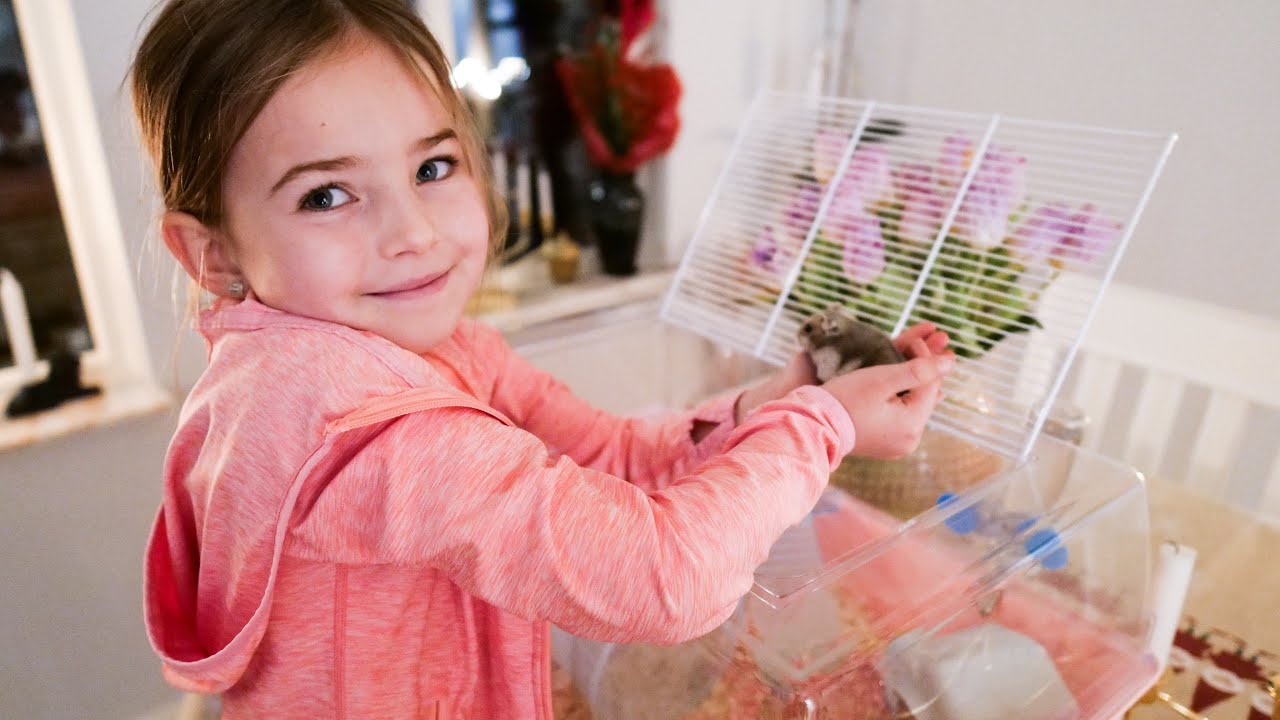 Hailey får en Hamster & hänger på Barnens lekstad   3 jan 2018