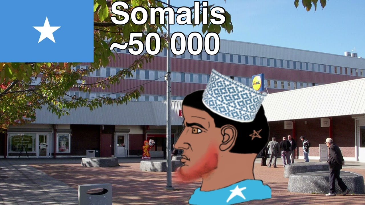 Immigrant groups in Sweden be like:
