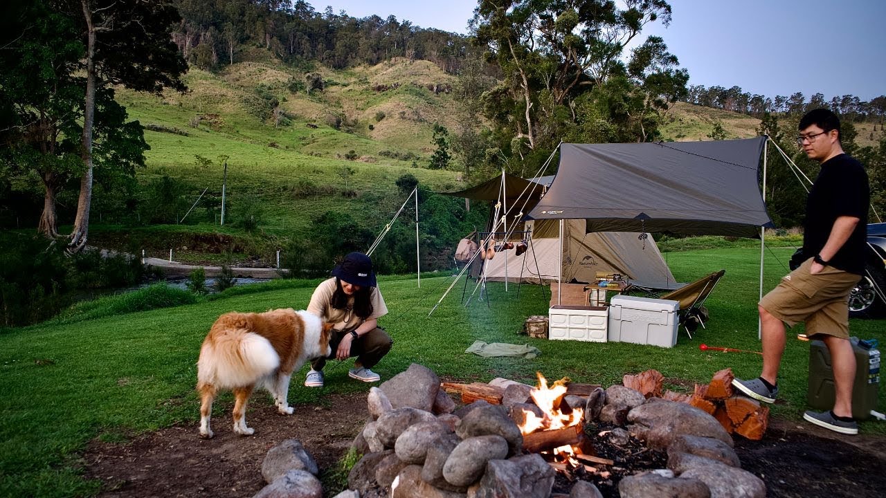 Creekside Camping with Our Dog in Australia. Relaxing Sarabah Camping. Nature Sounds. ASMR. Hipcamp.