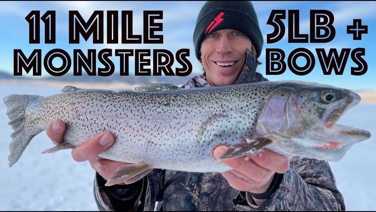 11 Mile Reservoir Ice Fishing Colorado  - Monster Cutbow Trout #icefishing #11mile #fishing #trout