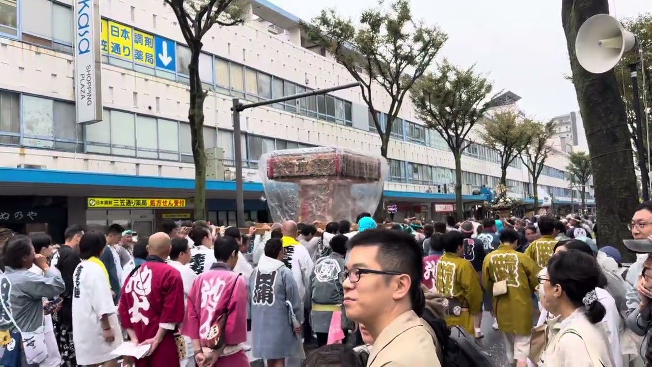2025年令和7年10月26日横須賀神輿パレード