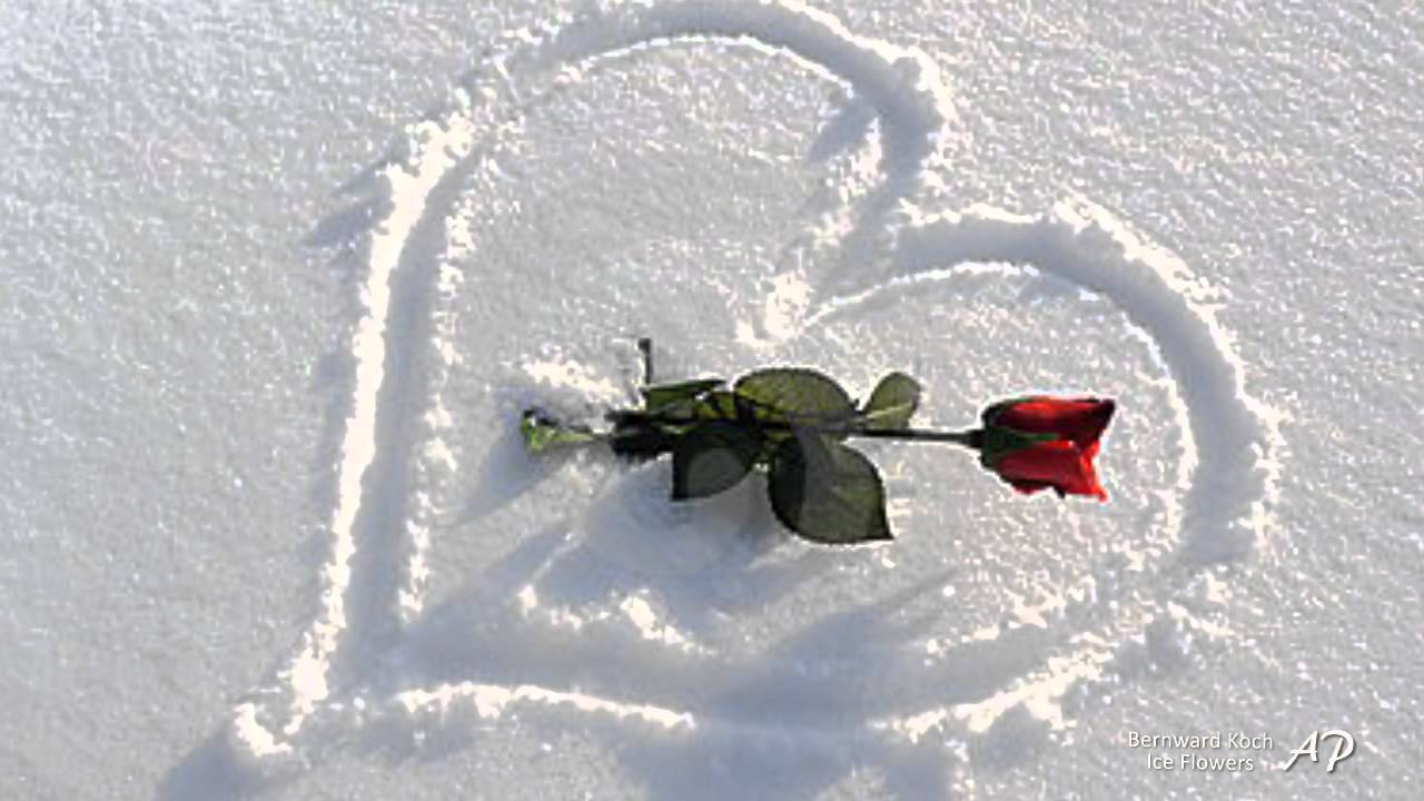 BERNWARD KOCH - Ice Flowers(relaxing music)
