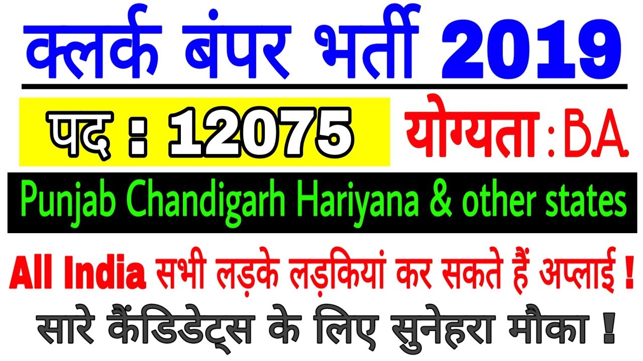 Clerk Recruitment 2019 || IBPS Clerk Vacancy 2019 || ibps Clark Bharti || punjab clerk bharti
