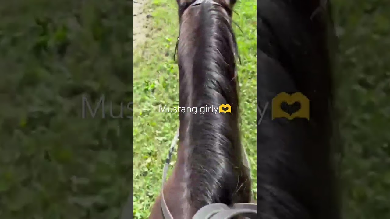 #painthorse