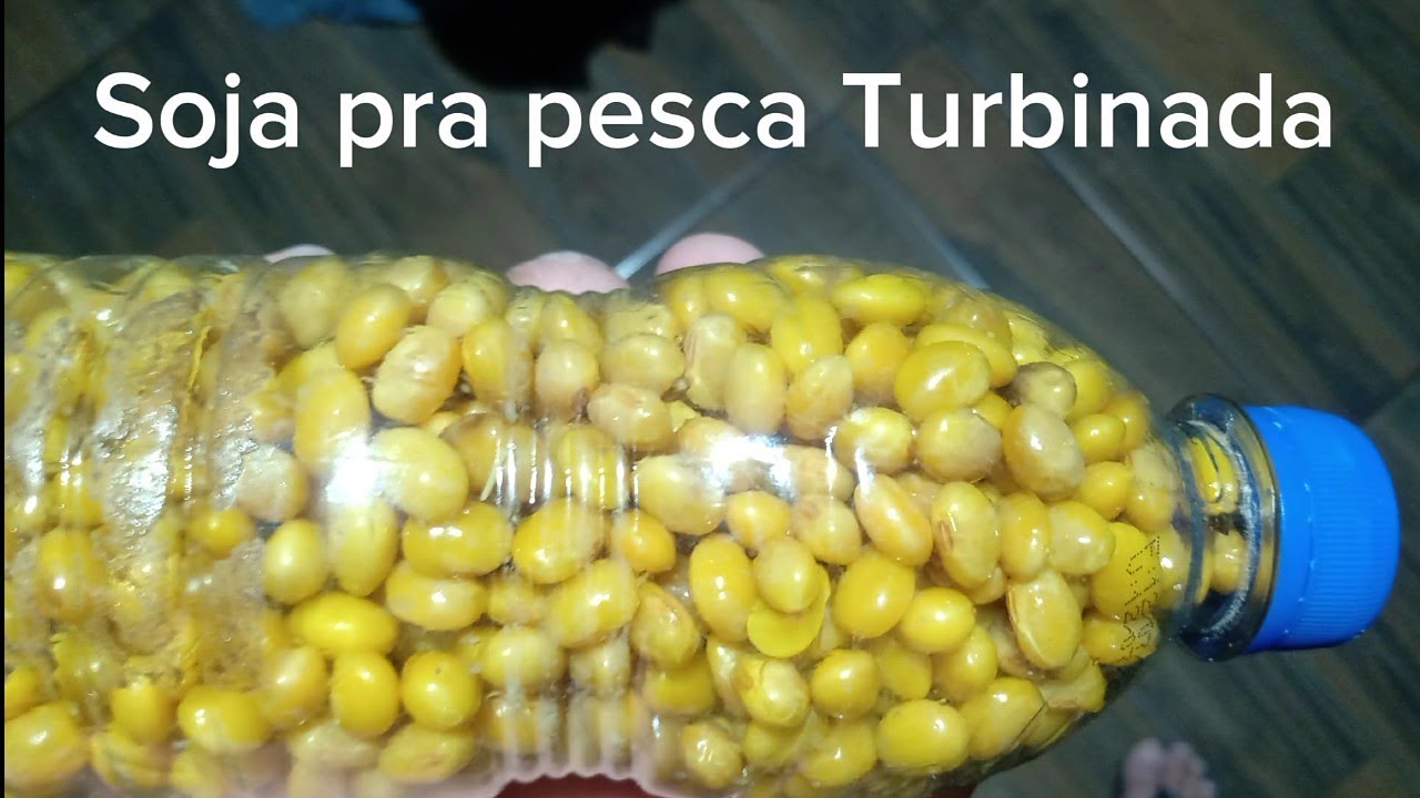 Soja na Pinga isca muito boa. #soja #pesca