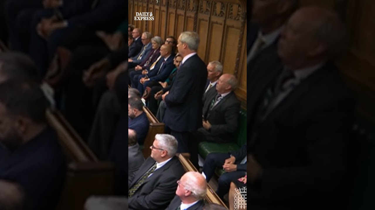 This moment Nigel Farage used his debut commons speech to take a dig at John Bercow 😂  #news #pmqs