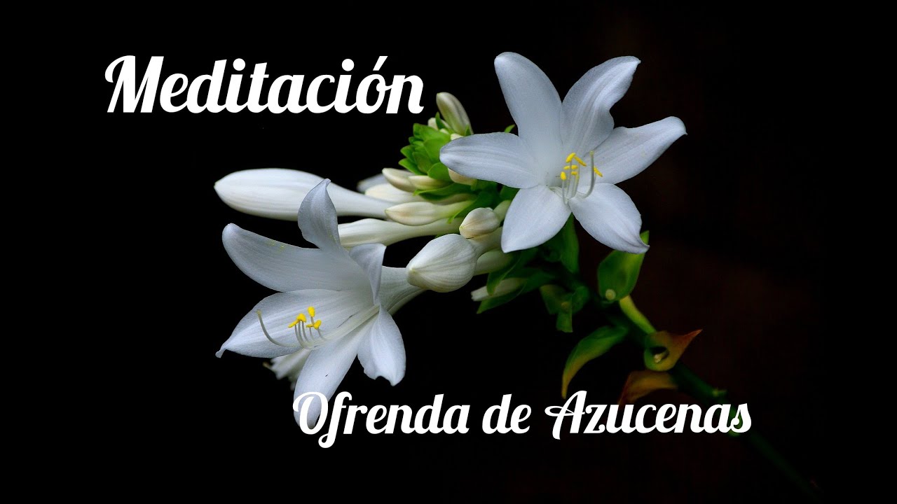 Meditación 