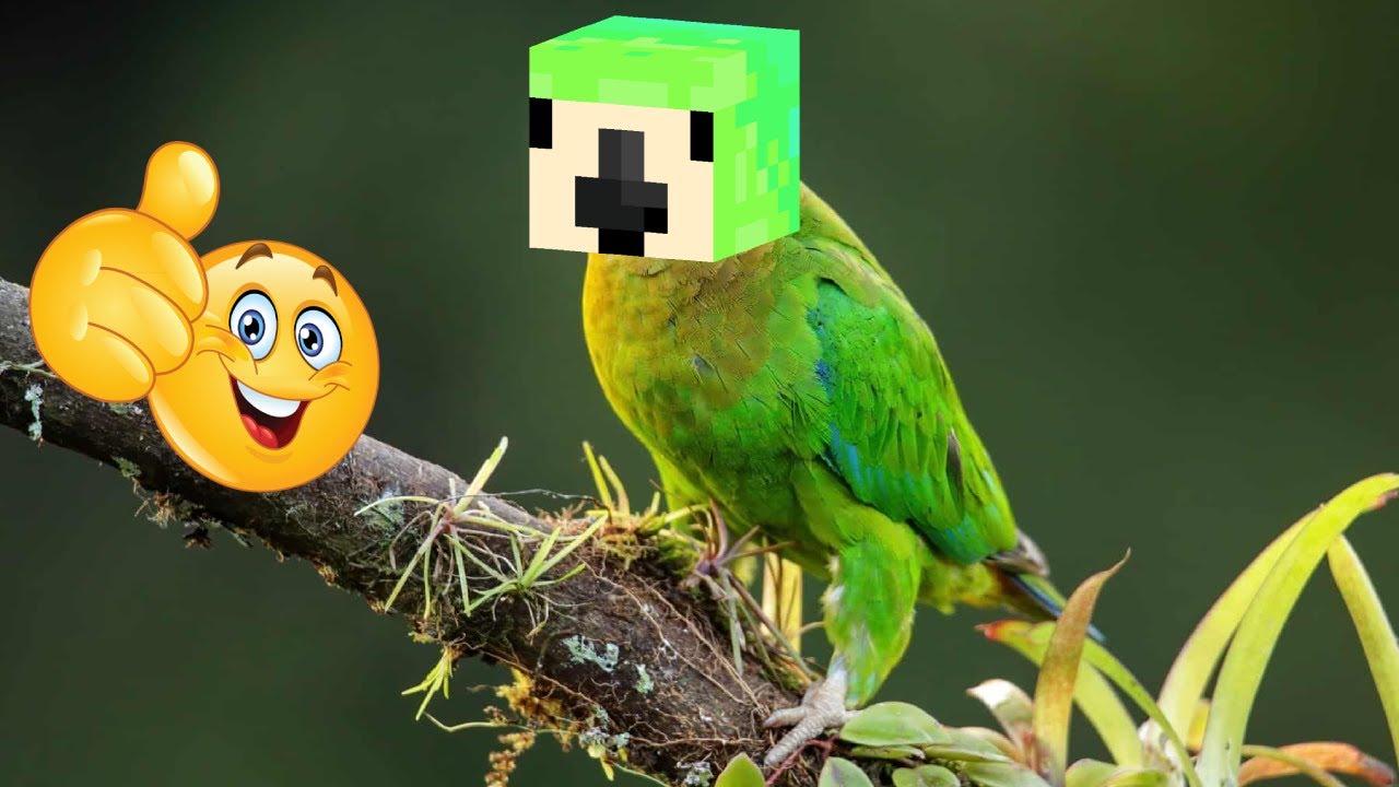 ParrotX2 Core
