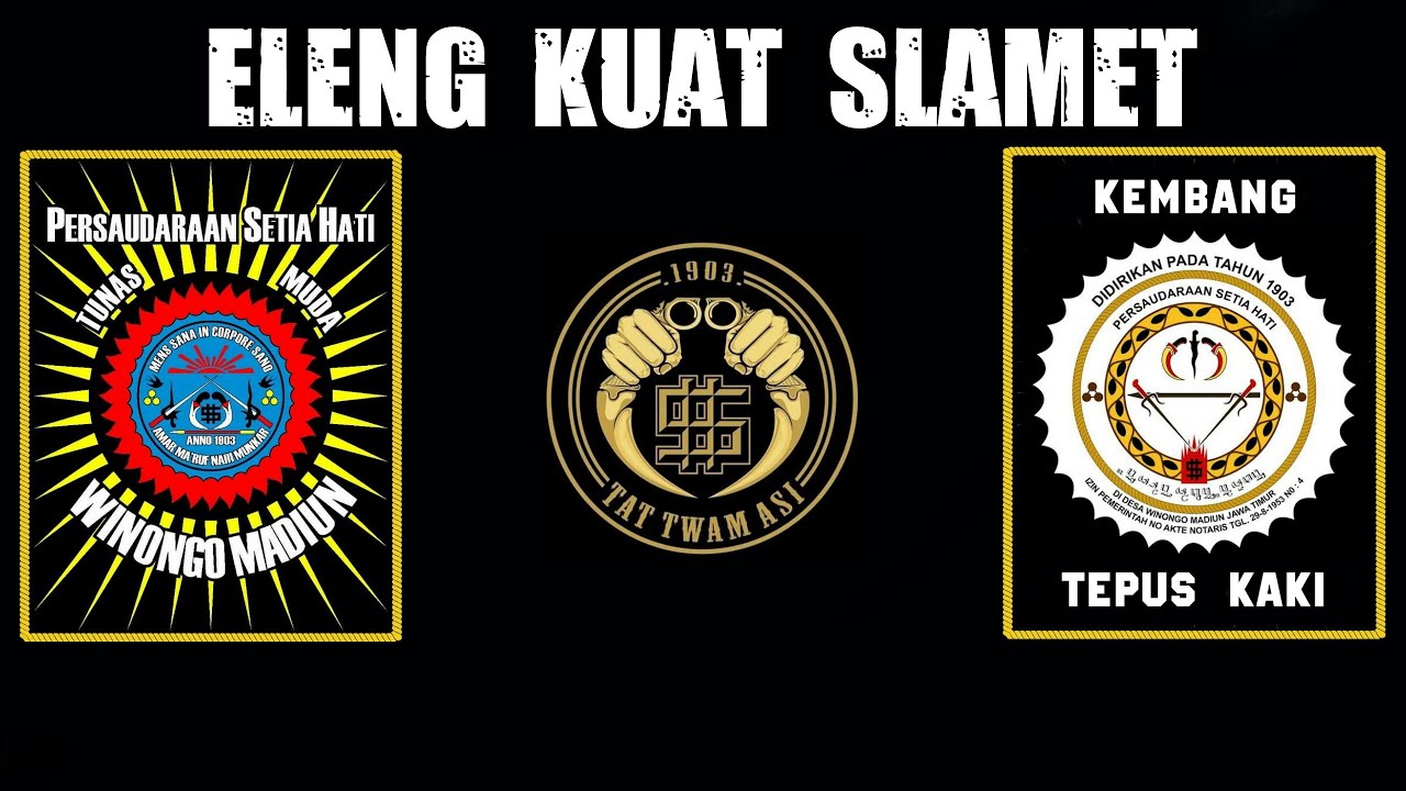MARS PERSAUDARAAN SETIA HATI WINONGO TUNAS MUDA ORIGINAL