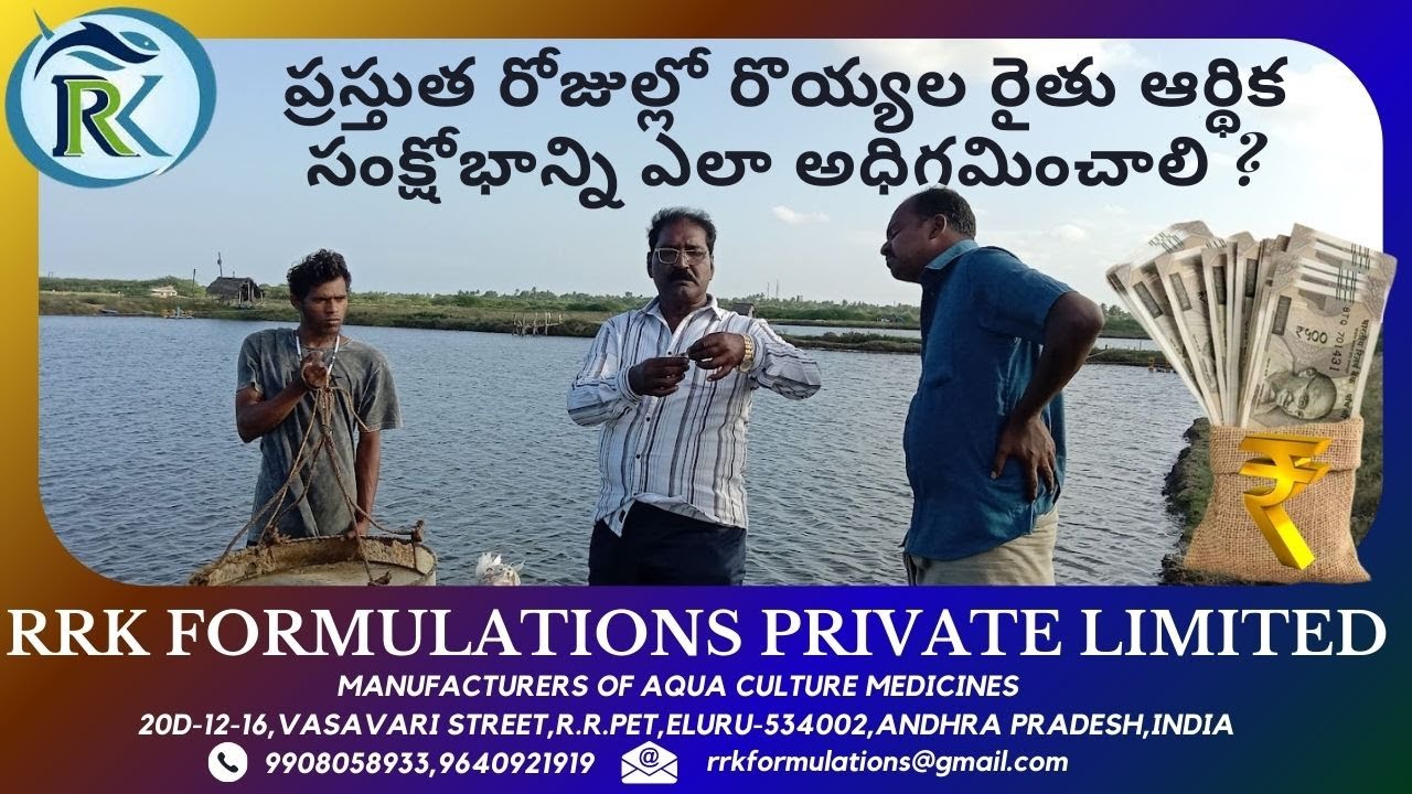 ప్రస్తుత రోజుల్లో రొయ్యల రైతు ఆర్థిక సంక్షోభాన్ని ఎలా అధిగమించాలి ?