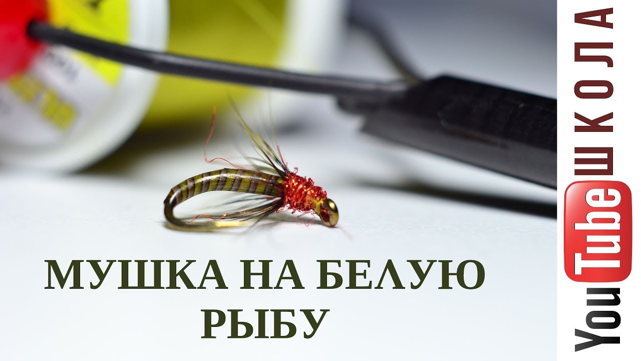 Вяжем мушку на бель. Уроки Flytying от Данилыча