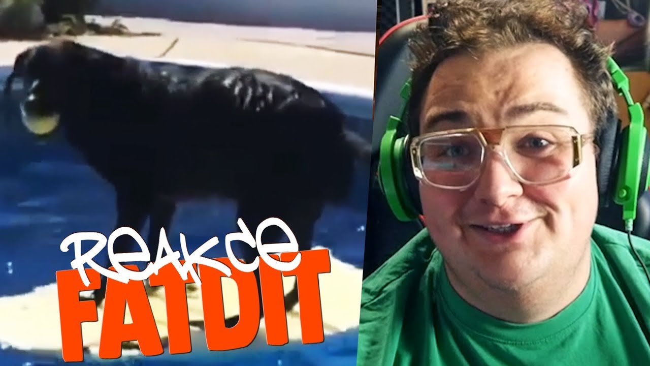REDDIT MÁ TALENT!