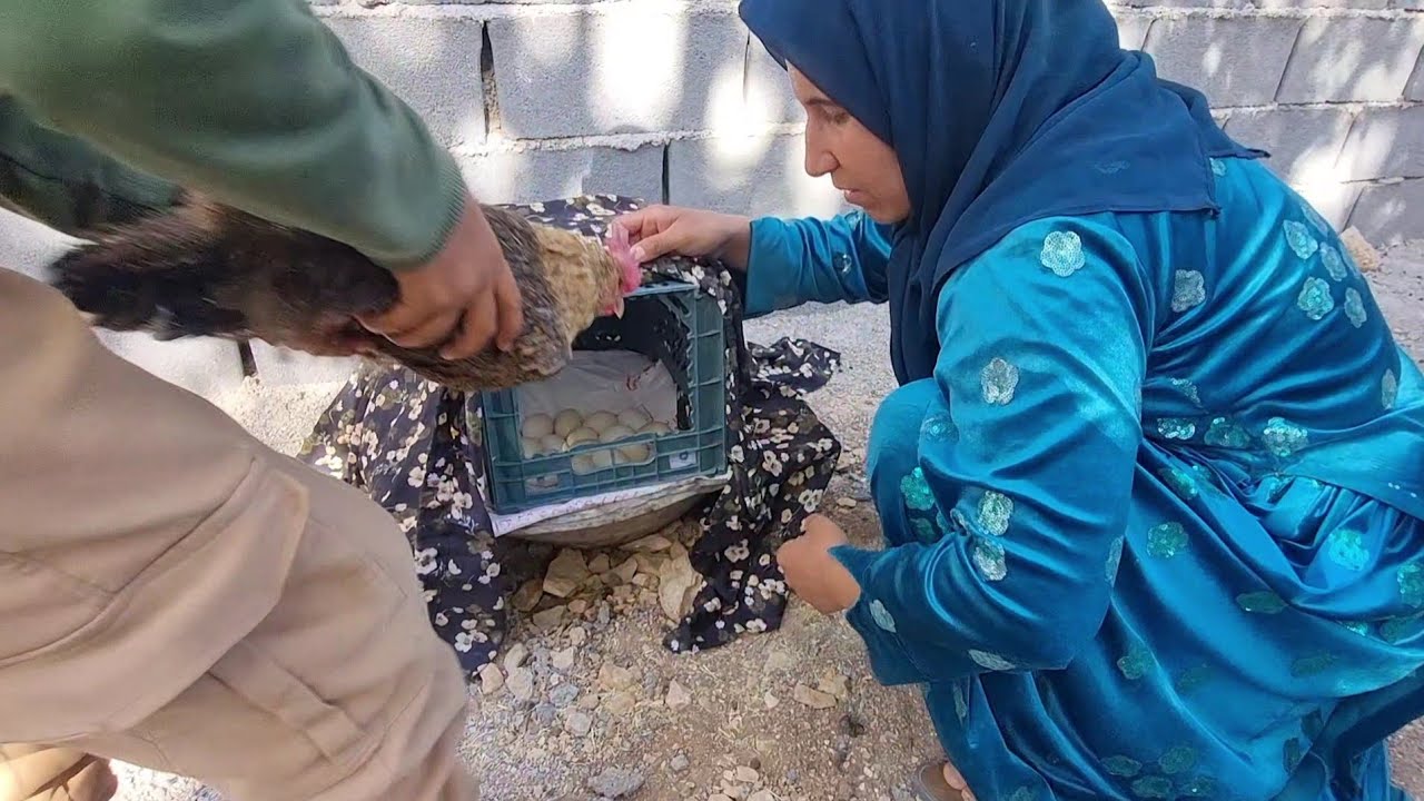Village life: Making a chicken coop for Shadi and his chicks