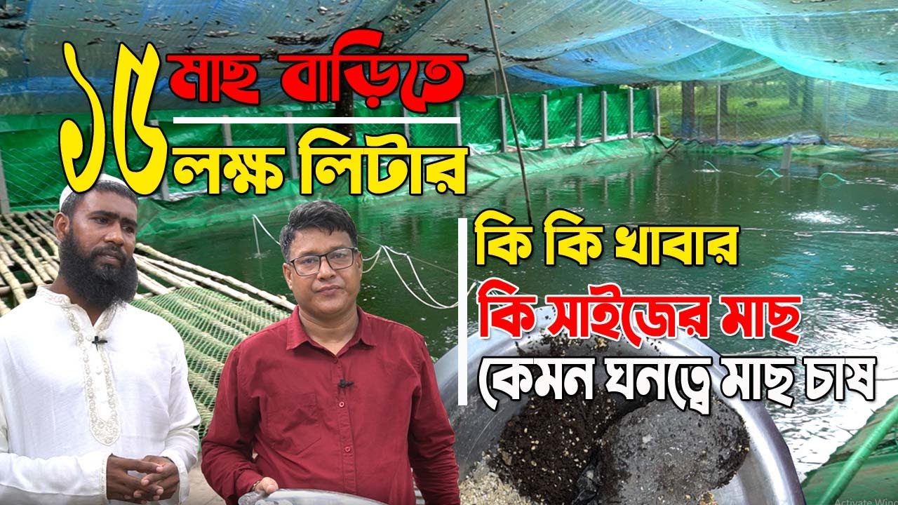 মাছ বাড়িতে সহজ পদ্ধতিতে ১৫ লক্ষ লিটার পুকুরে কি কি খাবার, কি সাইজের মাছ, কেমন ঘনত্বে মাছ চাষ করে