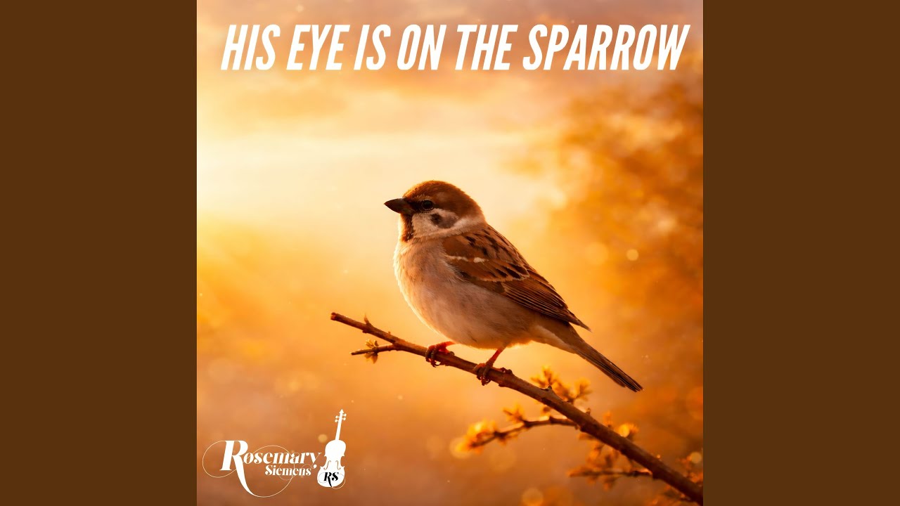 His Eye is on the Sparrow