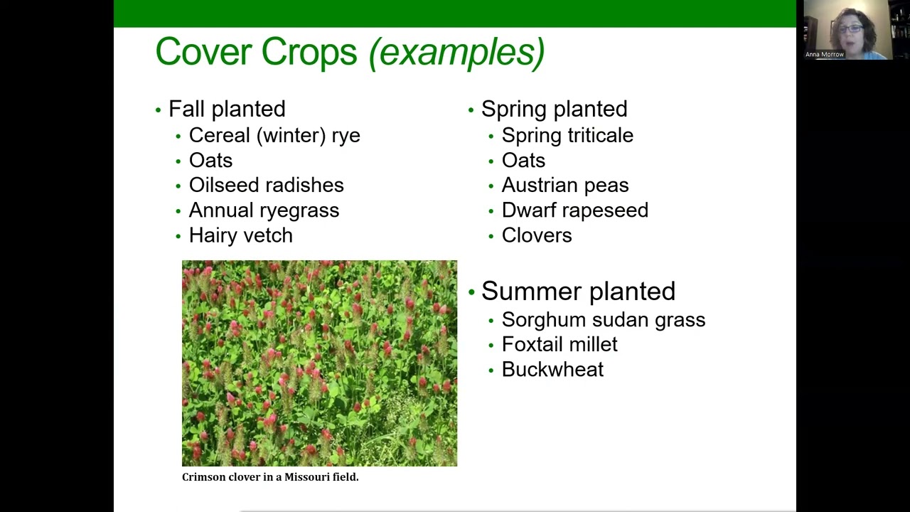 Cover Crop Selection