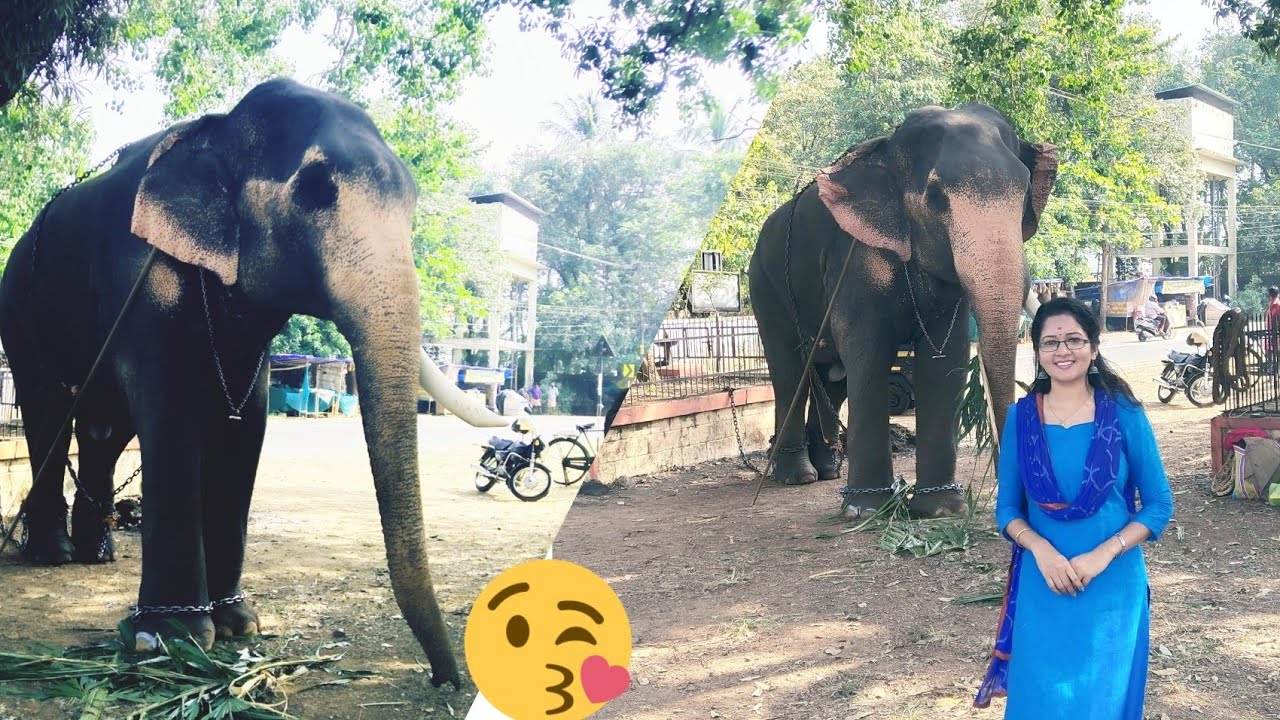 ഊക്കൻസ് കുഞ്ചു| കടവല്ലൂർ സന്തോഷ്|പുതിയ കൂട്ടുകെട്ട്|sarisway