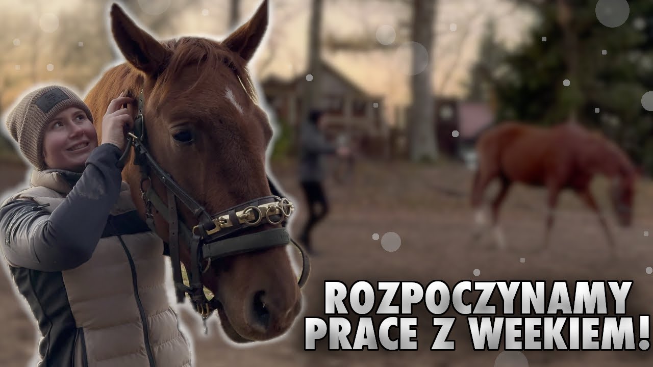 PIERWSZA PRACA Z WEEKIEM! | VLOG #418